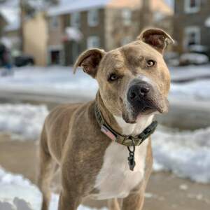 Team Page: Wiggle Butt